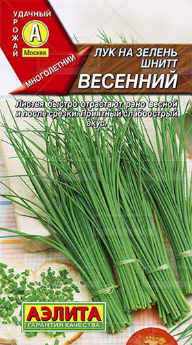 Лук (шнитт) Весенний 