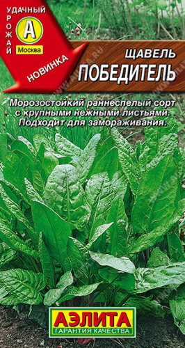 Щавель Победитель