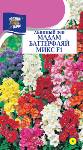 Львиный зев Мадам Баттерфляй F1 микс
