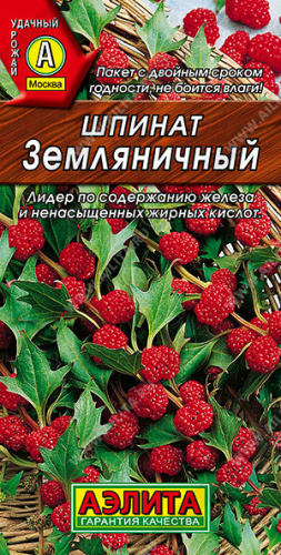 Шпинат Земляничный 