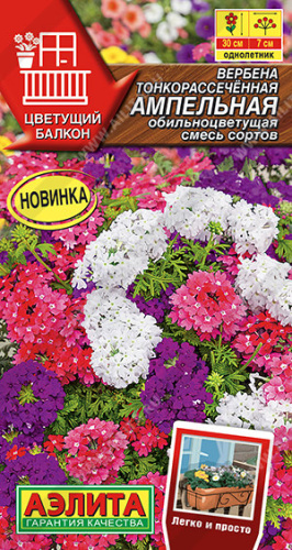 Вербена Ампельная обильноцветущая, смесь Цветущий балкон 