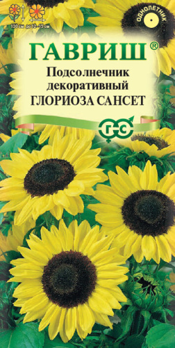 Подсолнечник Глориоза Сансет 