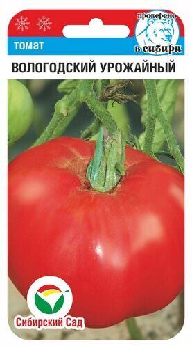 Томат Вологодский урожайный 