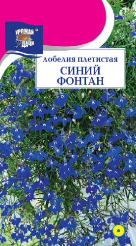Лобелия плетистая Синий фонтан
