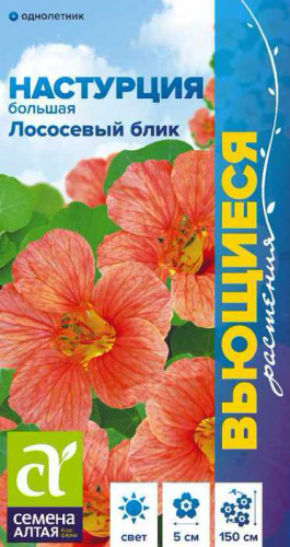 Настурция Лососевый Блик большая 