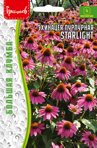 Эхинацея Starlight пурпурная