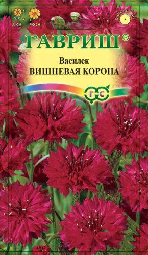 Василек Вишневая Корона 