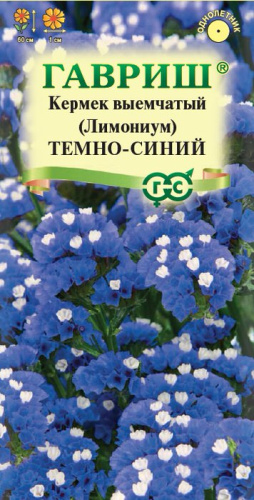 Лимониум темно-синий