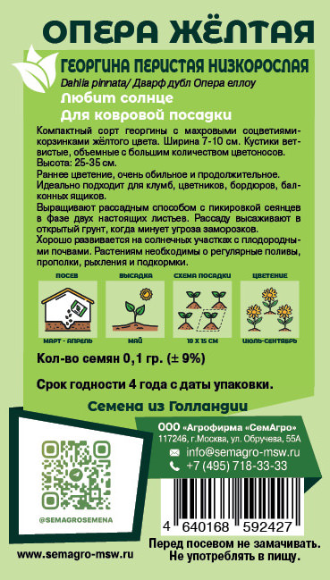 Георгина низкорослая Опера жёлтая о