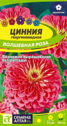 Циния Волшебная Роза 