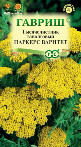 Тысячелистник Паркес Варитет желтый 