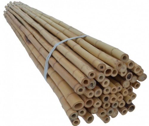 Бамбуковая поддержка 60см 08/10мм