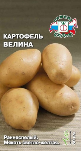 Картофель (семена) Велина 