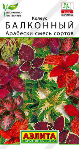 Колеус Арабески, смесь сортов балконный