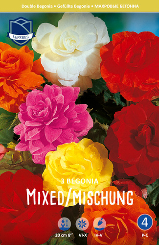 Смесь бегоний махровых XXL Double mixed colours /3шт