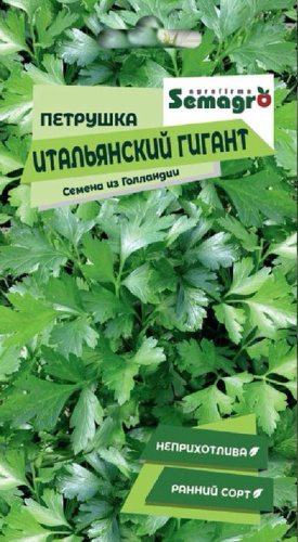 Петрушка Итальянский Гигант