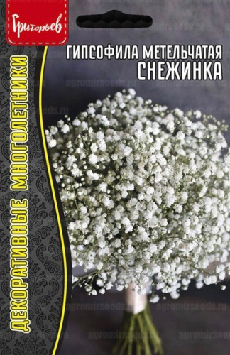 Гипсофила метельчатая Снежинка