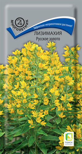 Лизимахия Русское золото