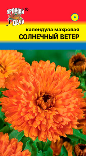 Календула махровая Солнечный ветер