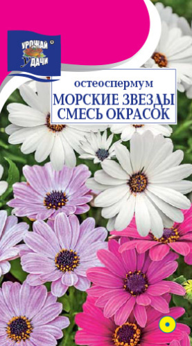 Остеоспермум МОРСКИЕ ЗВЁЗДЫ смесь
