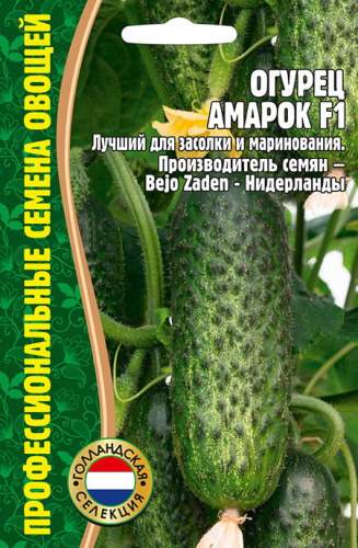 Огурец Амарок F1 Bejo Zaden