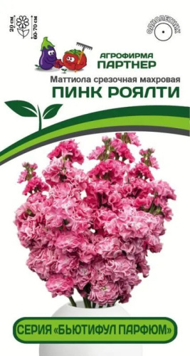 Маттиола Бьютифул Парфюм Пинк Роялти срезочная махровая