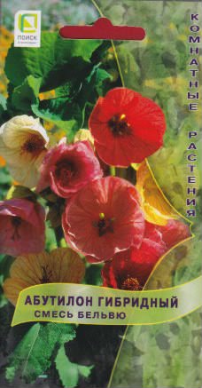 Абутилон гибридный Смесь Бельвю