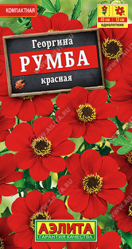 Георгина Румба красная 
