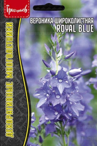 Вероника Royal Blue широколистная 