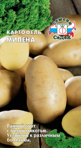 Картофель (семена) Милена 