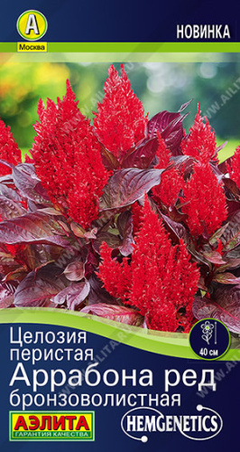 Целозия перистая Аррабона ред бронзоволистная