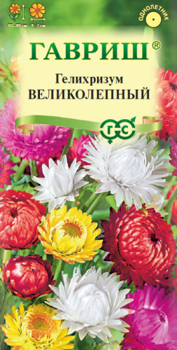 Гелихризум Великолепная смесь 