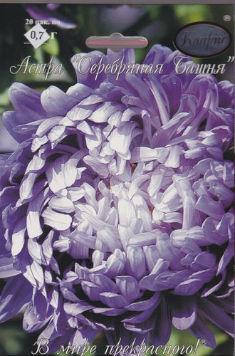 Астра Серебряная Башня/1шт