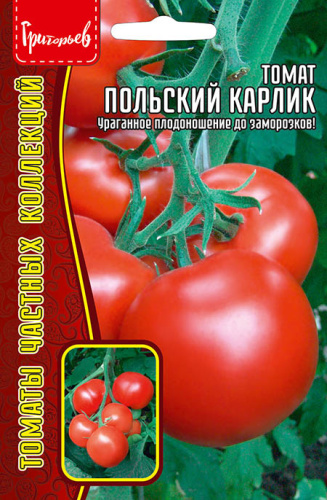 Томат Польский Карлик