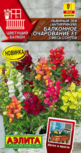 Львиный зев Балконное очарование F1, смесь