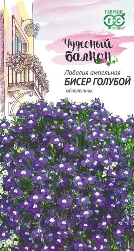Лобелия Бисер Голубой ампельная