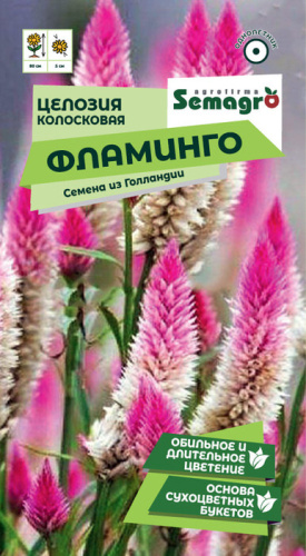 Целозия колосковая Фламинго 
