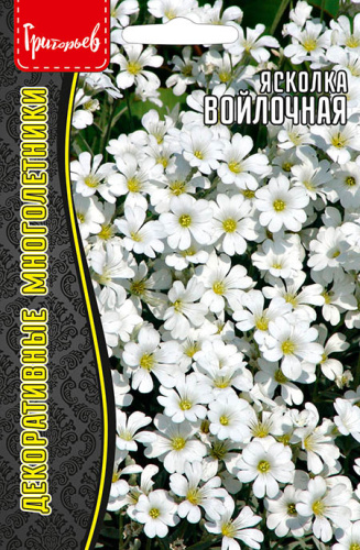 Ясколка Войлочная