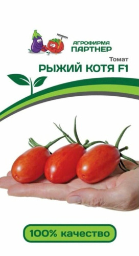 Томат Рыжий Котя F1