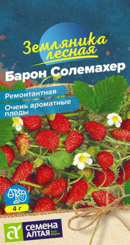 Земляника Барон Солемахер 