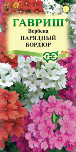 Вербена Нарядный Бордюр низкая 