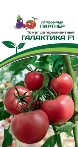 Томат Галактика F1