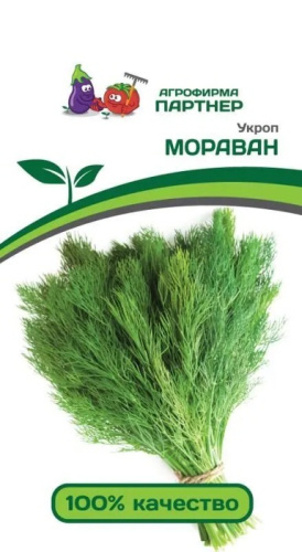 Укроп Мораван