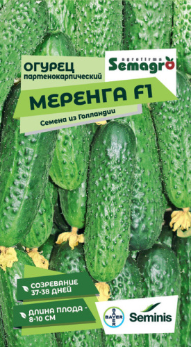 Огурец Меренга F1 