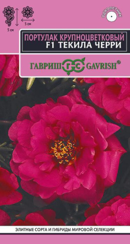 Портулак махровый Текила Черри 