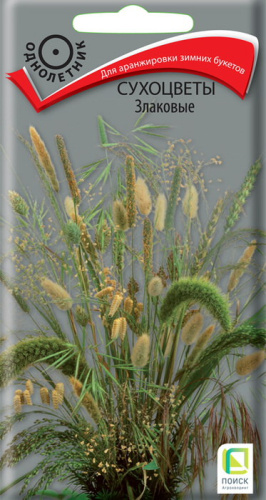 Сухоцветы Злаковые