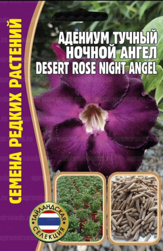 Адениум Ночной Ангел