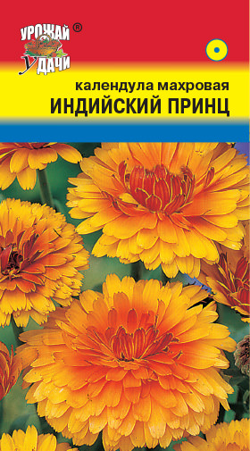 Календула Индийский принц махр.