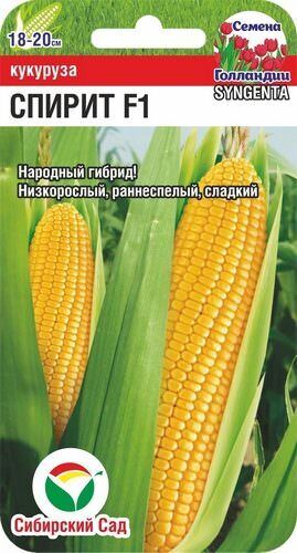 Кукуруза Спирит F1 Сингента