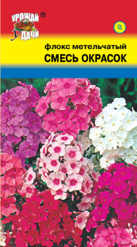 Флокс метельчатый Смесь окрасок 